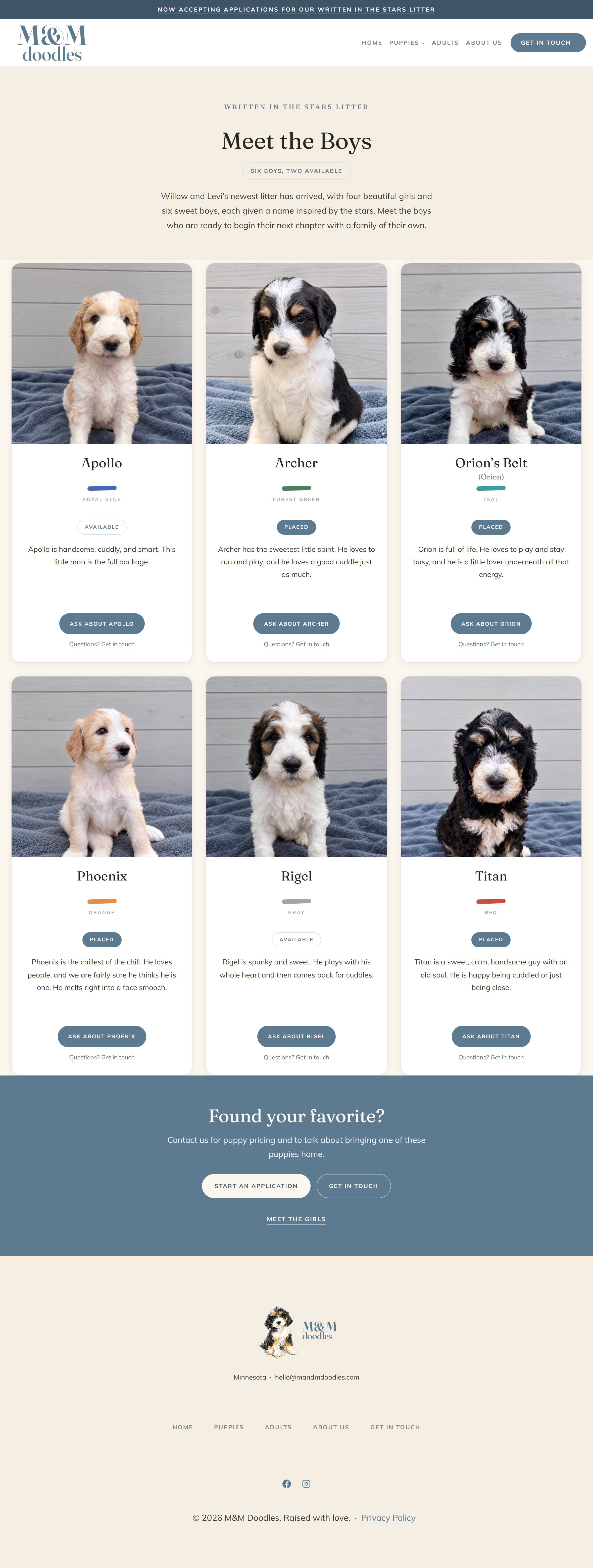 The website we built for a family who raises Bernedoodle puppies: the personalities behind the pictures