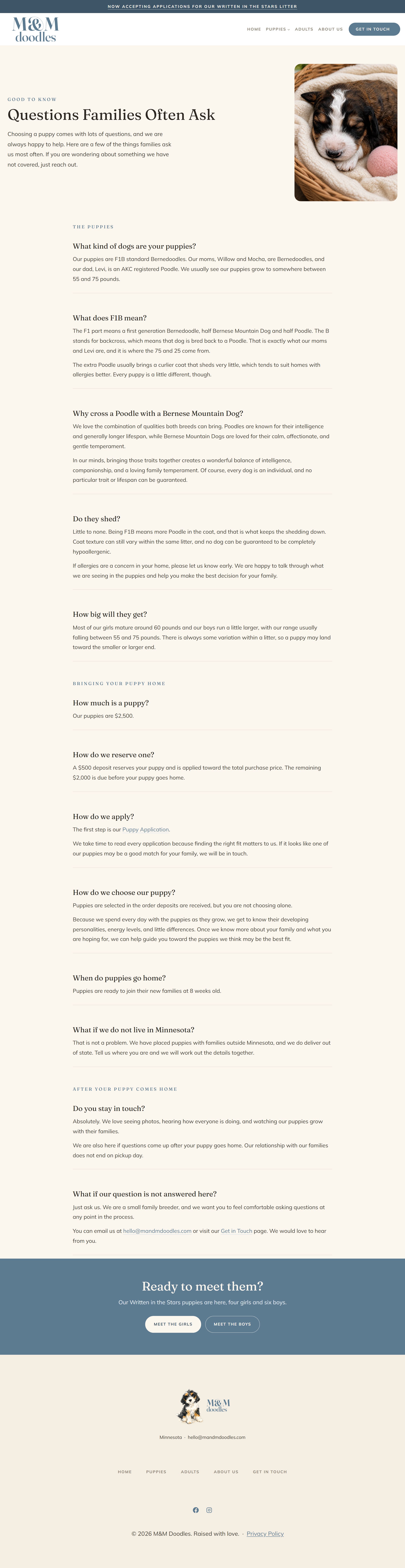 The website we built for a family who raises Bernedoodle puppies: clear answers to common questions